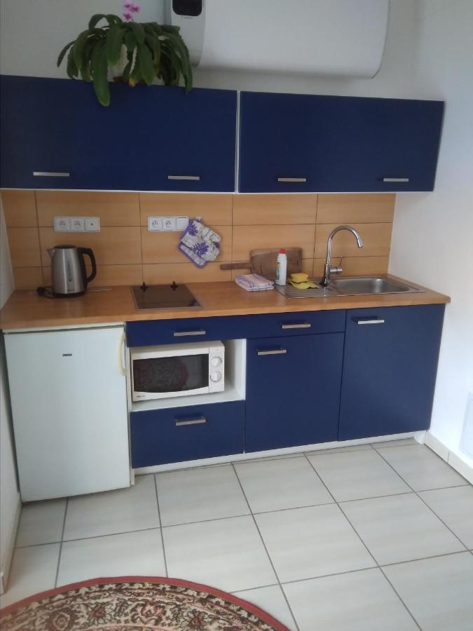 Ferienwohnung Dvur V Borovne Borovná Exterior foto